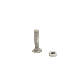 Carriage Bolt with Hex Nut