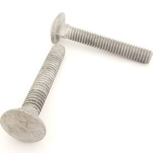 Carriage Bolt with Hex Nut